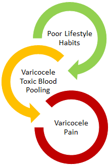 varicocele pain: how long will it last