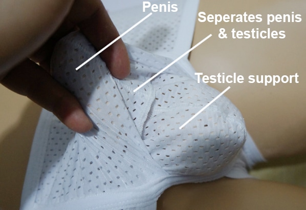 penis testicles separation with scrotal support