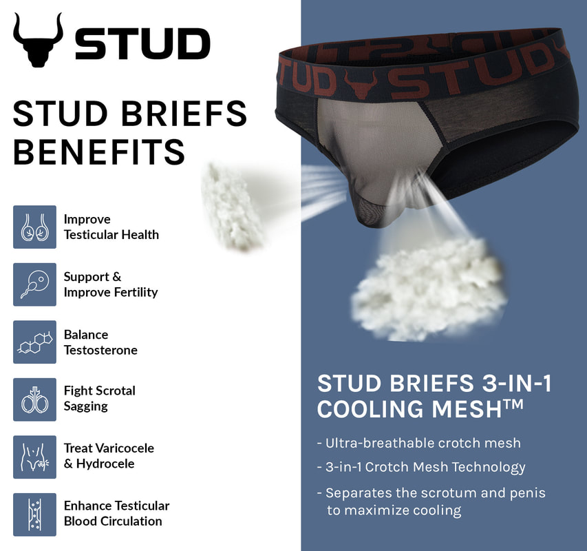 Benefits of varicocele underwear (Stud Briefs)