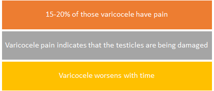 varicocele pain facts