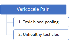 varicocele pain is caused by