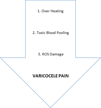 varicocele pain